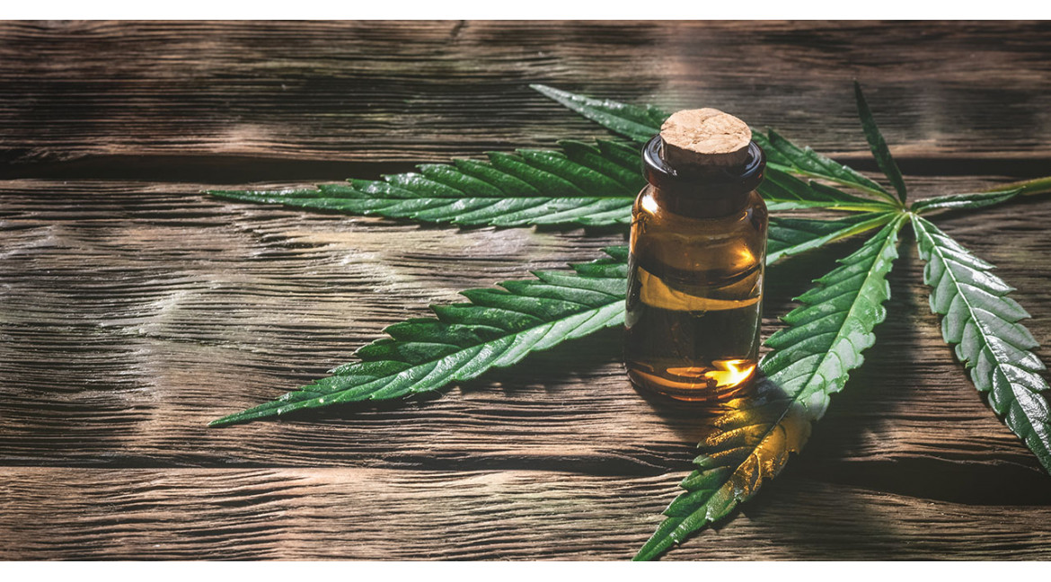 Premium Qualität bei Naturbelassenen Produkten